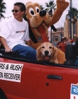 1998.jpg