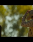 The_Madison_S01E02_mkv1089.jpg